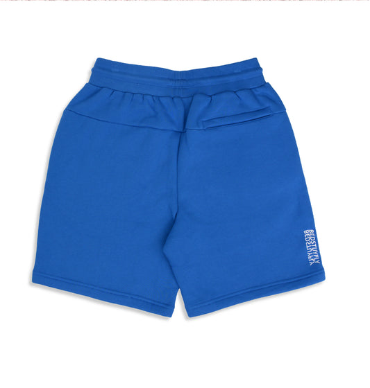 Park Shorts (Blue)