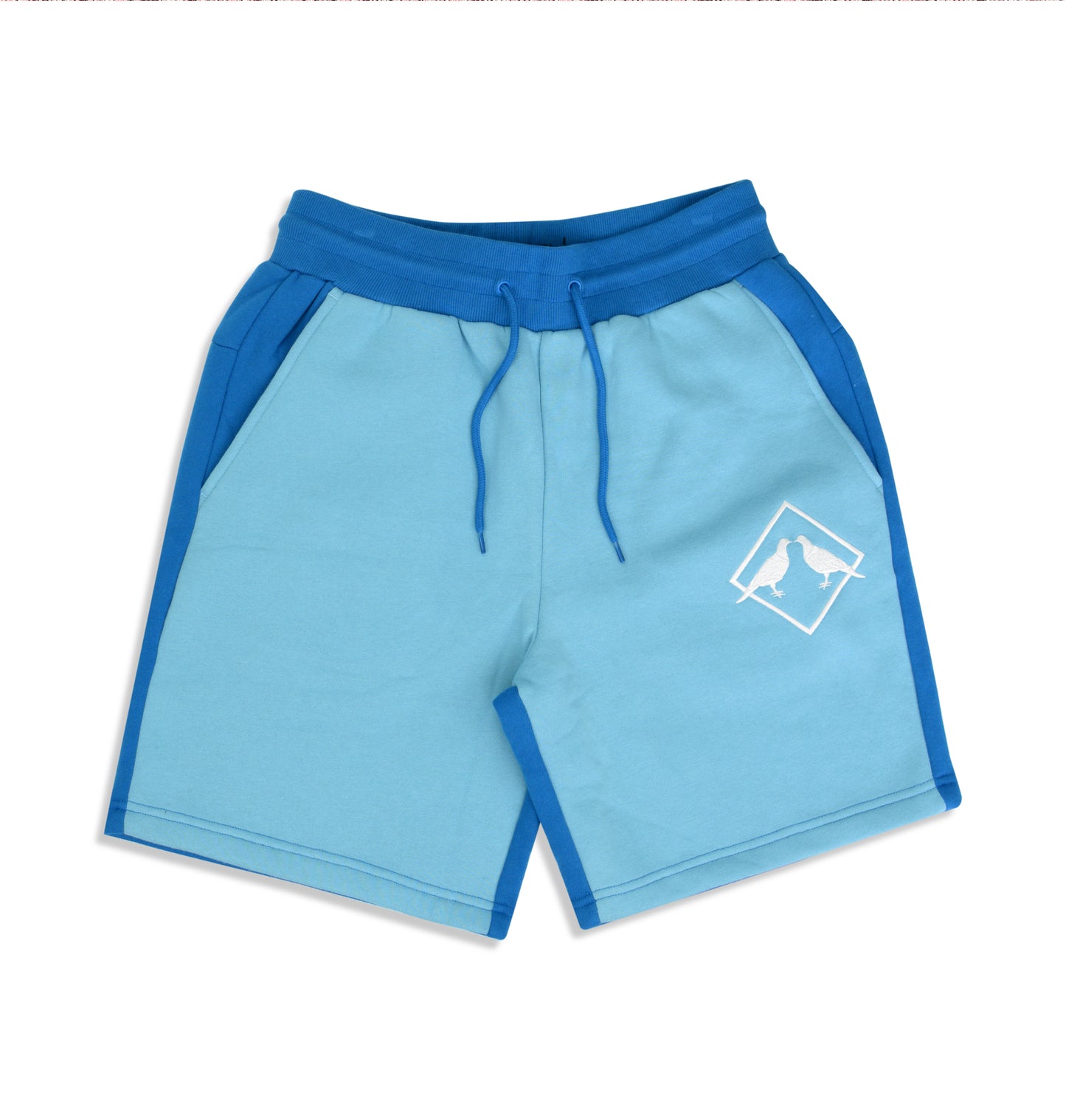 Park Shorts (Blue)